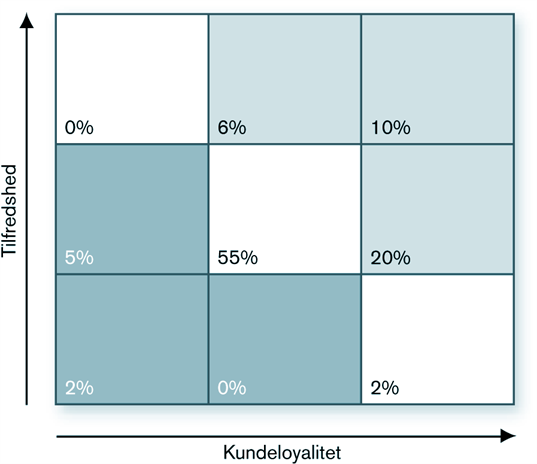 Kundetilfredshedanalyse Blaa