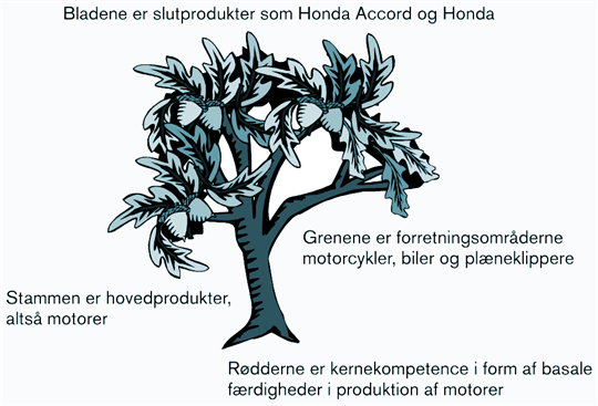 Find Virksomhedens Kernekompetencer Blaa